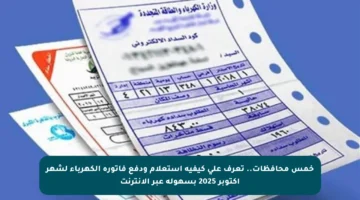 خمس محافظات.. تعرف على كيفية استعلام ودفع فاتورة الكهرباء لشهر أكتوبر 2025 بسهولة عبر الإنترنت